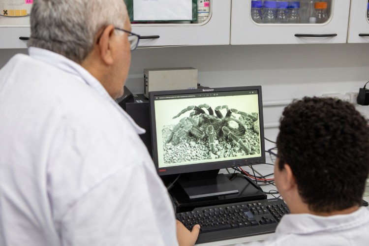 foto Not&iacute;cia Pirassununga