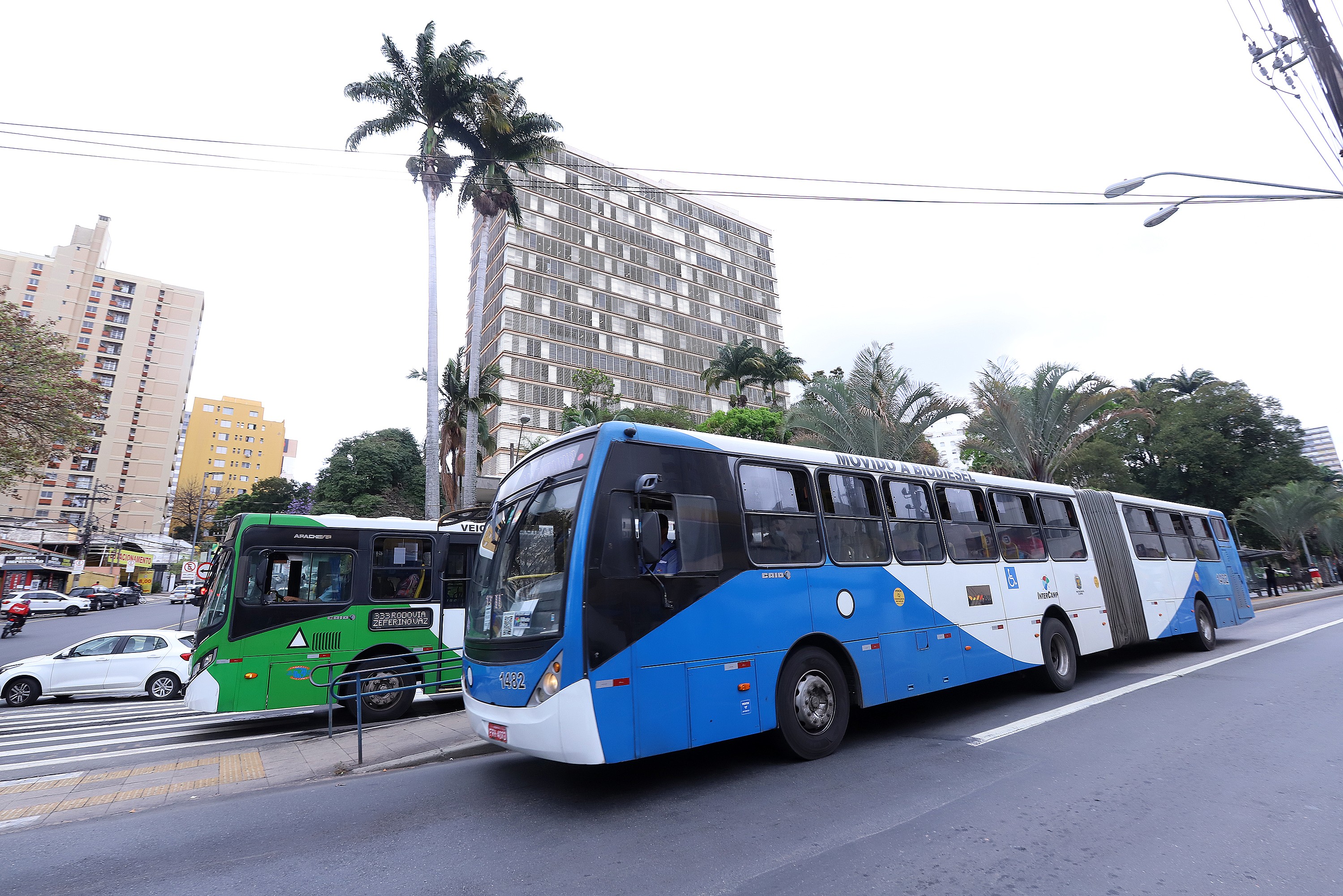 foto Not&iacute;cia Pirassununga