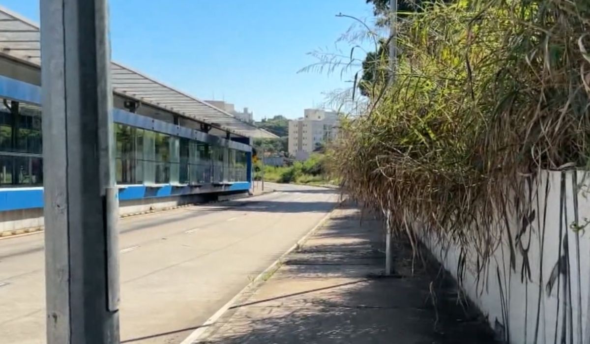 foto Not&iacute;cia Pirassununga